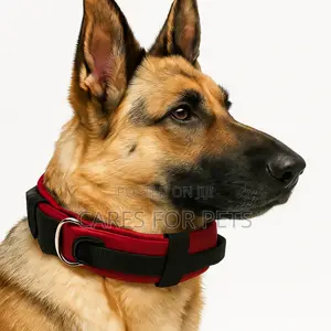 Photo - Red Extra Comfortable Collar
