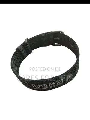 Black_high Quality Collar