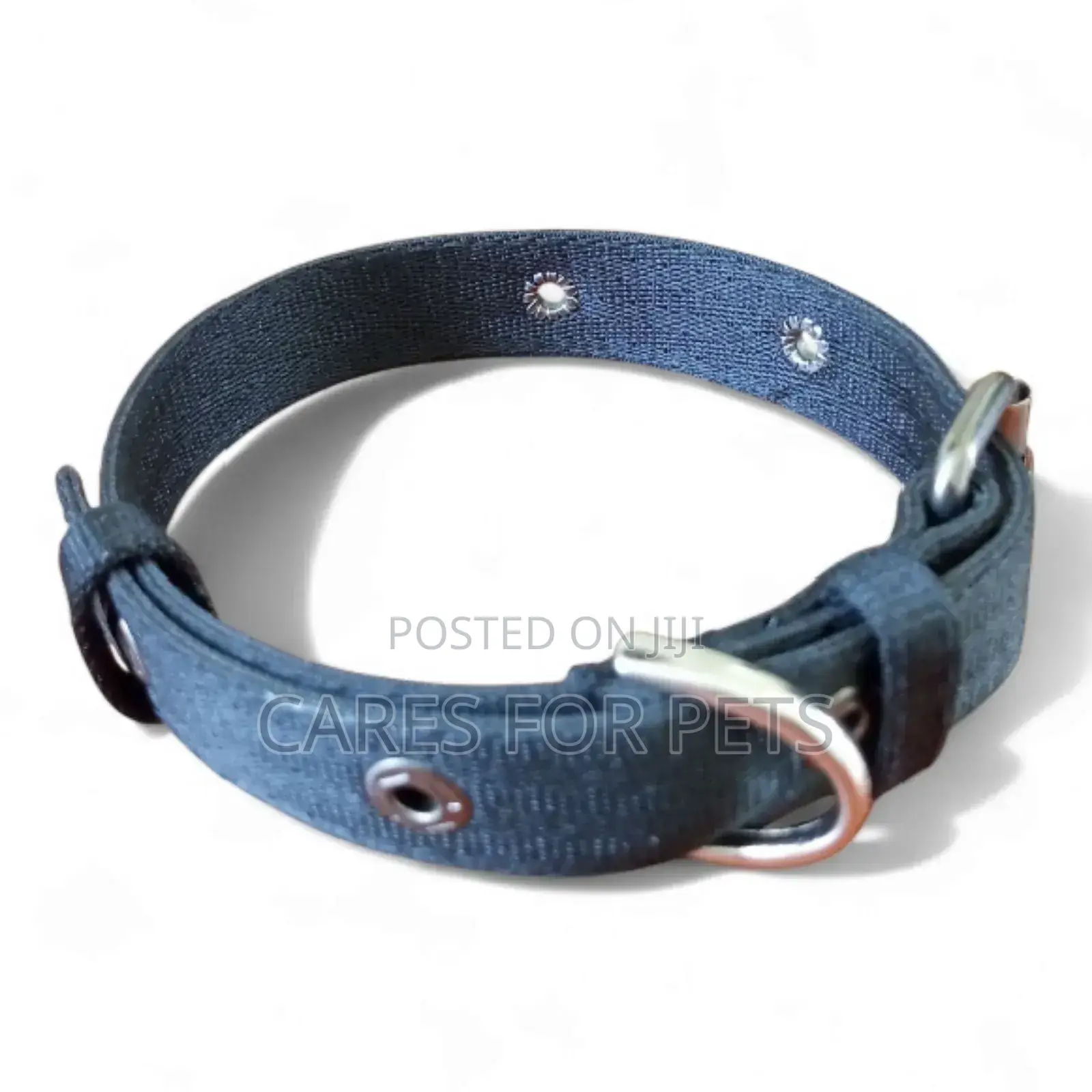 መለስተኛ ጠንካራ የውሻ ኮላር