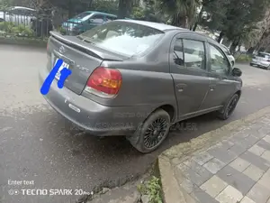 Toyota Platz 2005 Gray