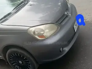 Toyota Platz 2005 Gray