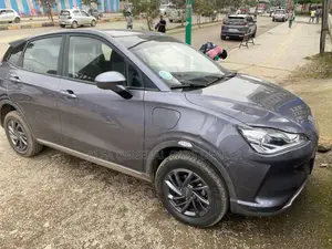 Hozon Neta Aya 2023 Gray