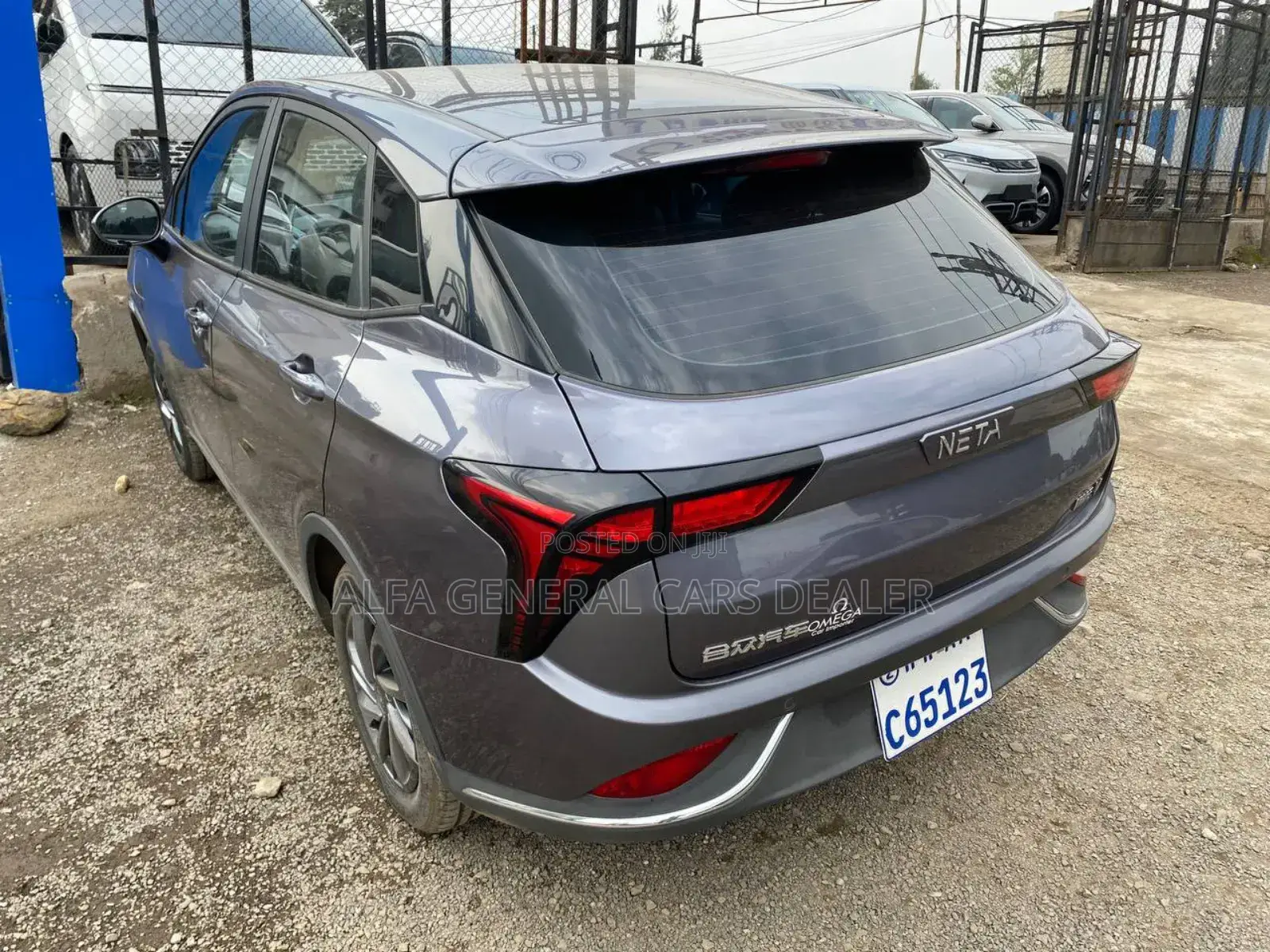 Hozon Neta Aya 2023 Gray