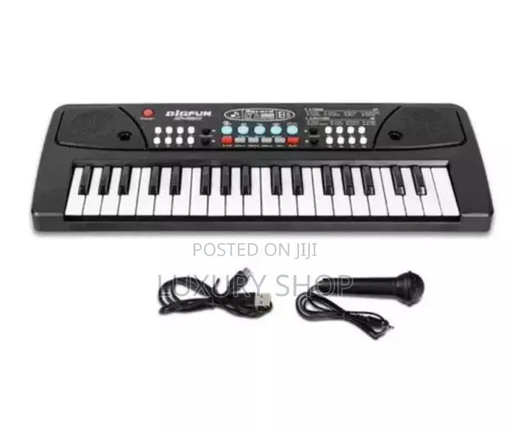 Electronic Keyboard Piano
