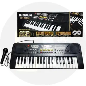 Electronic Keyboard Piano