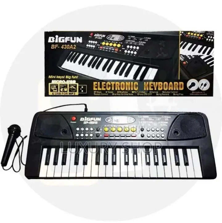 Electronic Keyboard Piano