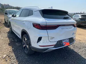 BYD Song Plus DM-i 2022 White