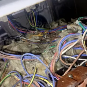 Electrician +Technician