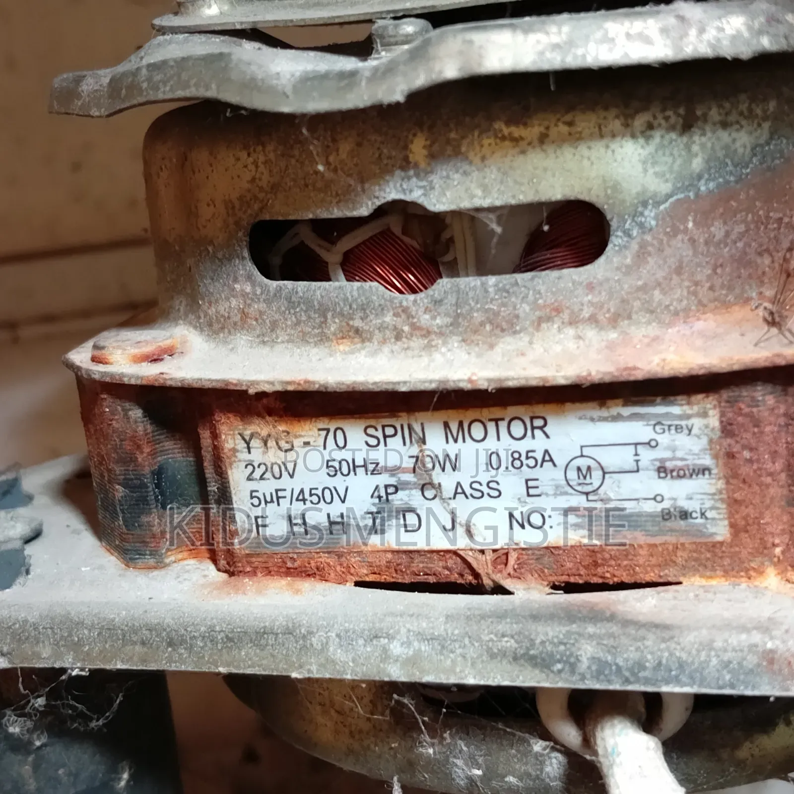 Electrician +Technician