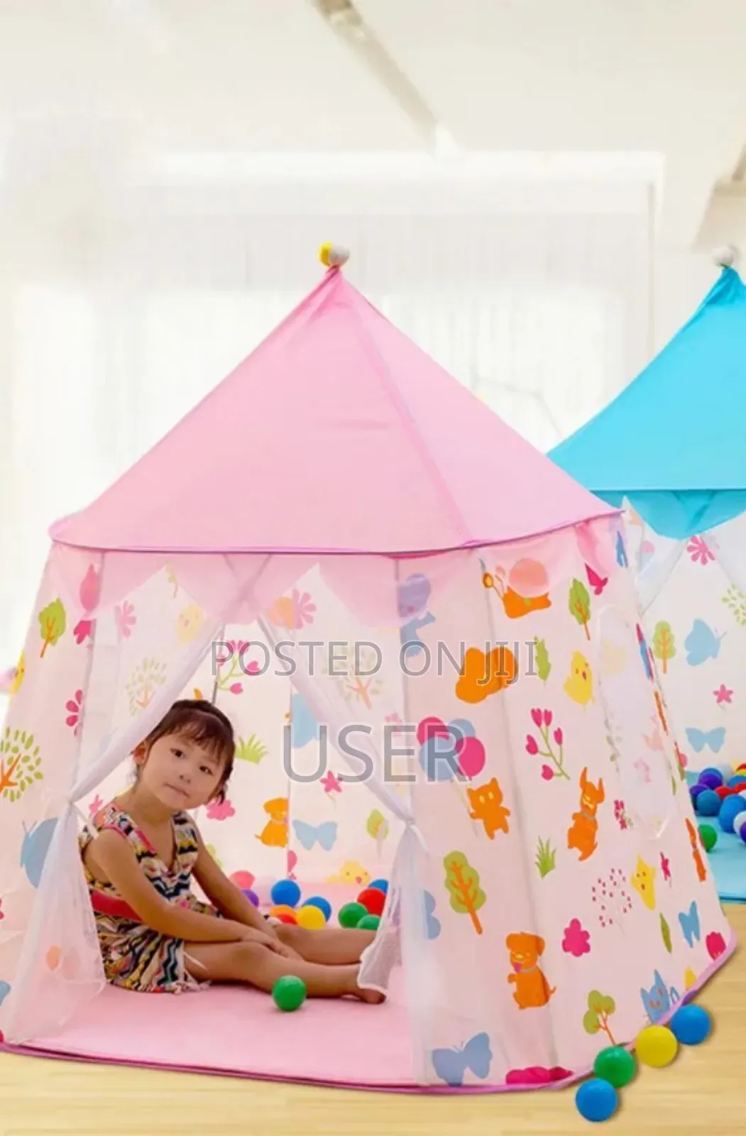 Jupiter House Childrens Tent