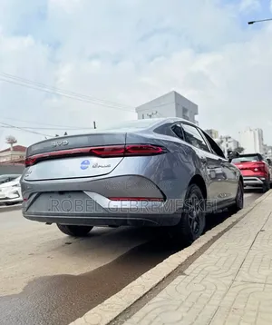 New BYD Qin Plus DM-i 2025 Beige