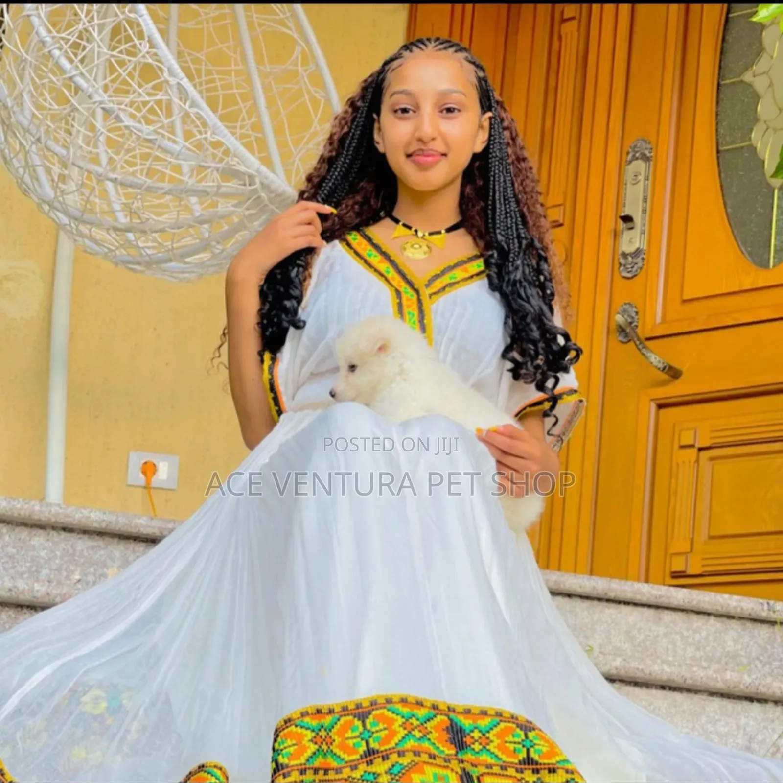 1-3 months Male Purebred Siberian Husky