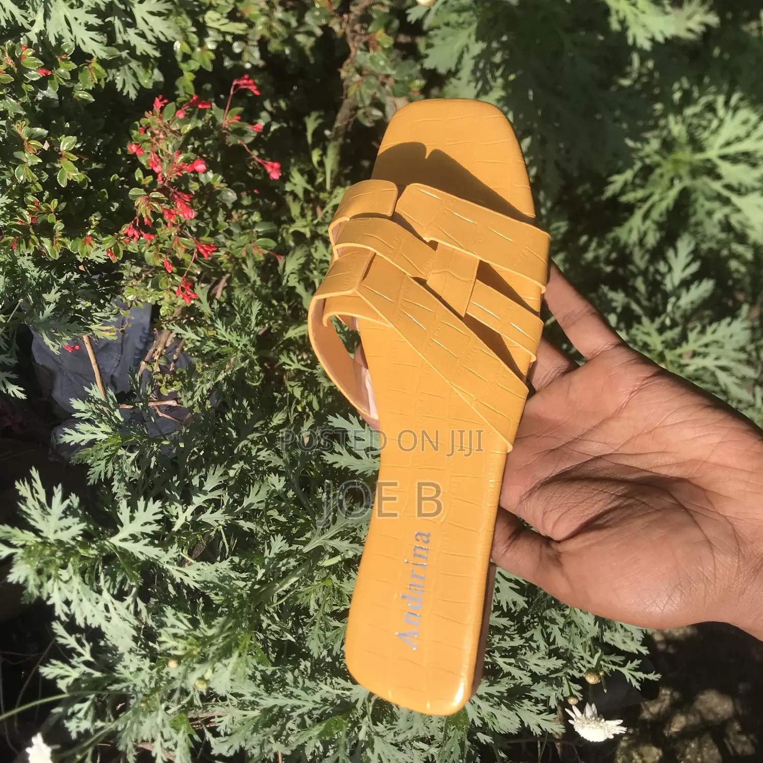 Beautiful Anderina Shoes for Beautiful Women's