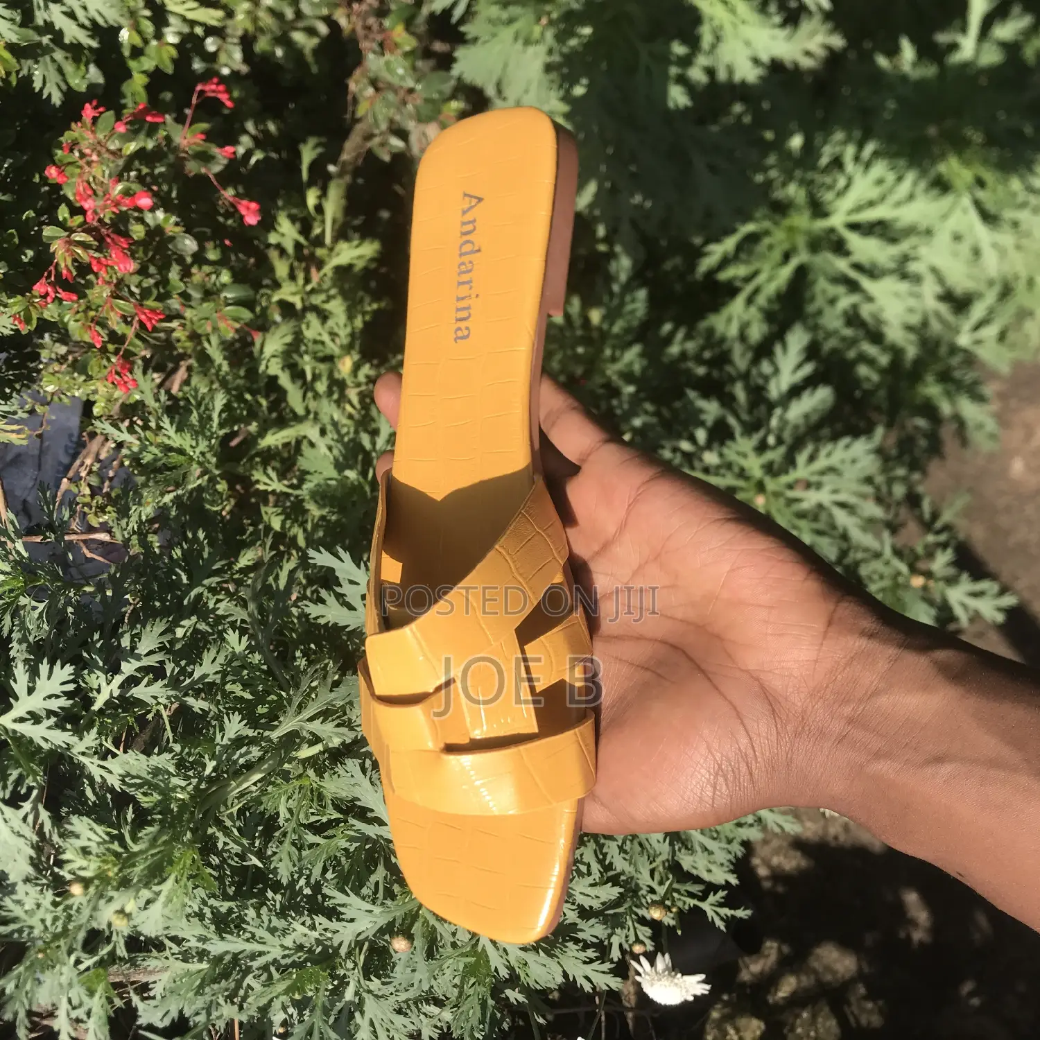 Beautiful Anderina Shoes for Beautiful Women's