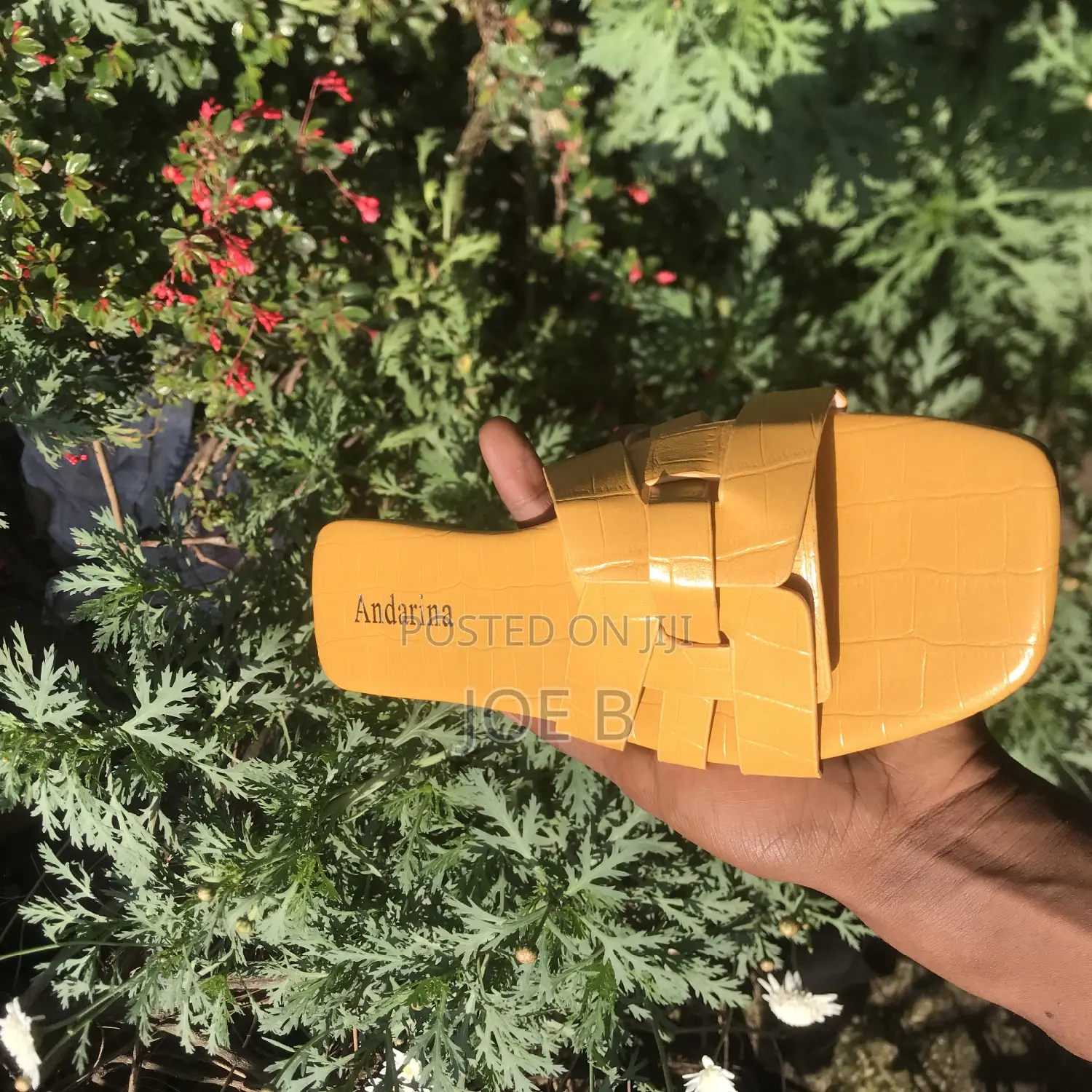 Beautiful Anderina Shoes for Beautiful Women's