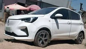 Photo - Changan BenBen E-Star 2024 White