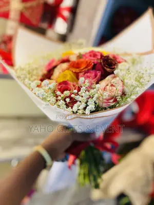 Red Teddy Bear And Other For Gift