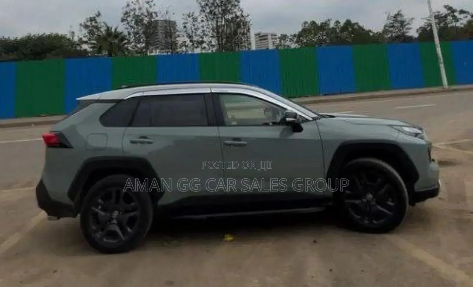 New Toyota RAV4 2024 Green