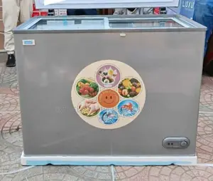 Smart Chest Freezer 300 Deep