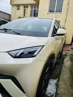 Photo - BYD Seagull 2024 Beige
