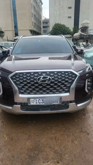 Photo - Hyundai Palisade 2022 Brown