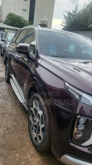 Hyundai Palisade 2022 Brown