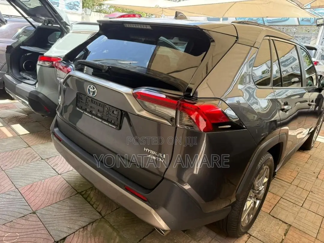 New Toyota RAV4 2023 Gray