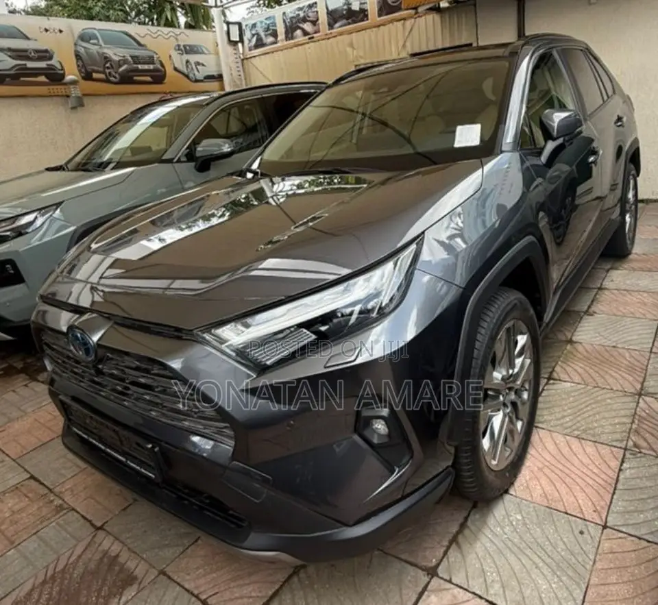 New Toyota RAV4 2023 Gray