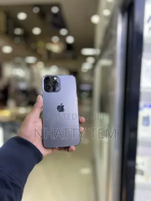 Apple iPhone 12 Pro Max 128 GB Gray