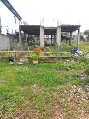 6bdrm Farm House in Rooseta, Oromia-Finfinne for sale