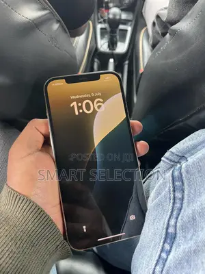 Apple iPhone 12 Pro Max 256 GB Gold