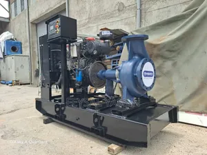 Photo - Wicha Deasel Water Pump 8 Inch by 6 Inch