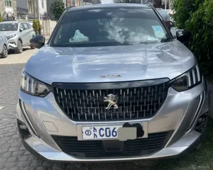 Photo - Peugeot 2008 2022 Gray