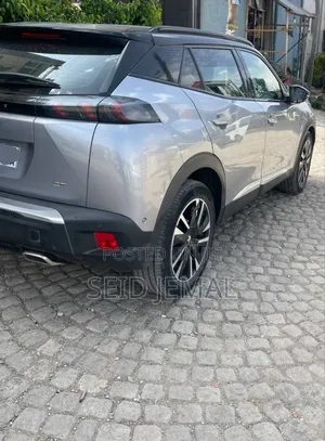 Peugeot 2008 2022 Gray
