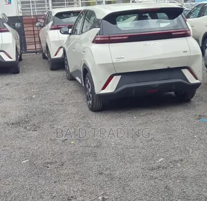 New BYD Seagull 2025 Ivory