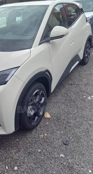 New BYD Seagull 2025 Ivory