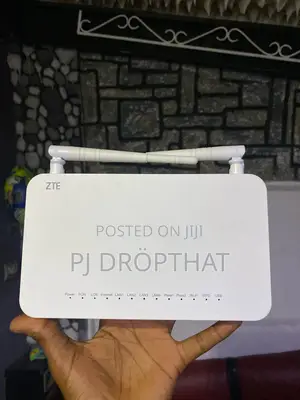 Fiber Router and DSL Router