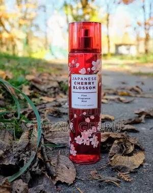 Photo - Japanesse Cherry