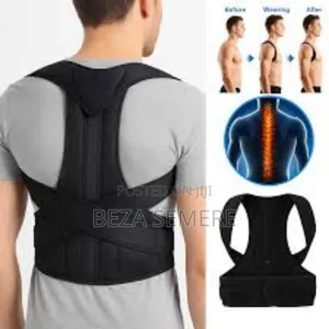Photo - Back Support Belt