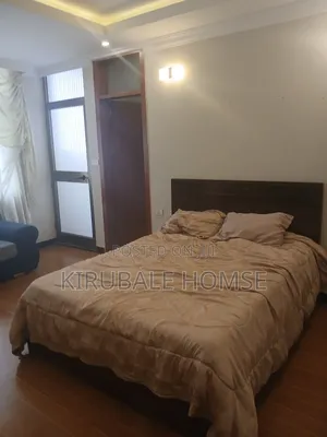 Furnished 3bdrm Apartment in Noh Figa, Bole for rent