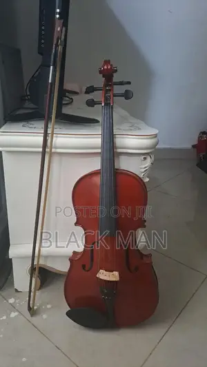 Photo - Hans Joseph Houer Violin