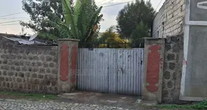 Photo - CMC Wosen, L-Shape House for Sale 200sqm