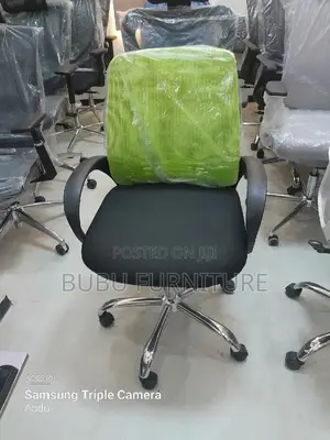 የ ባለ ሙያ ወንበር Secretary Chair