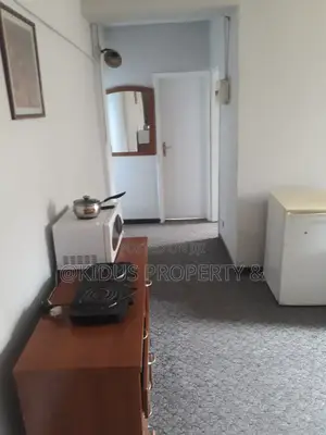 Furnished 1bdrm Apartment in Africa Union, Nifas Silk-Lafto for rent