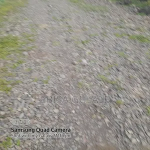 Konto Bota