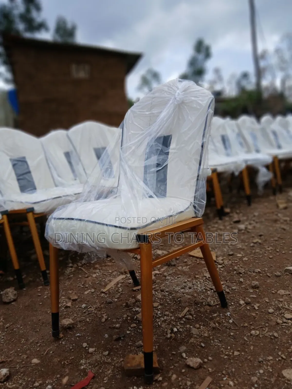 Quality Modern Leather Chairs