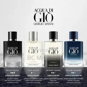 Original Giorgio Armani Acqua Di Gio Ed Parfum Spray 100ml