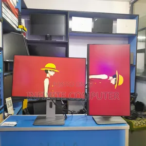 Dell 24 Monitor