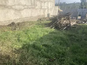 Photo - Land for Rent(For Any Business) Legedai
