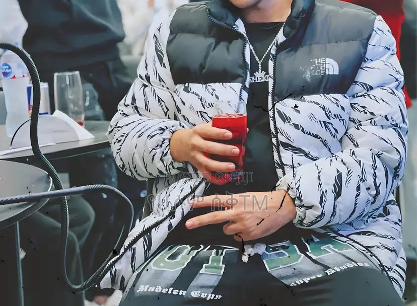 The North Face 1996 Retro Zebra Stripe Nuptse Jacket